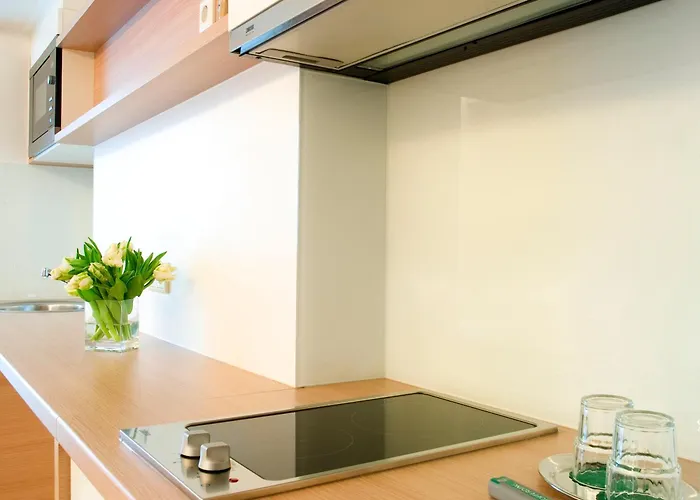 酒店 西蒙奇尼酒店 4*